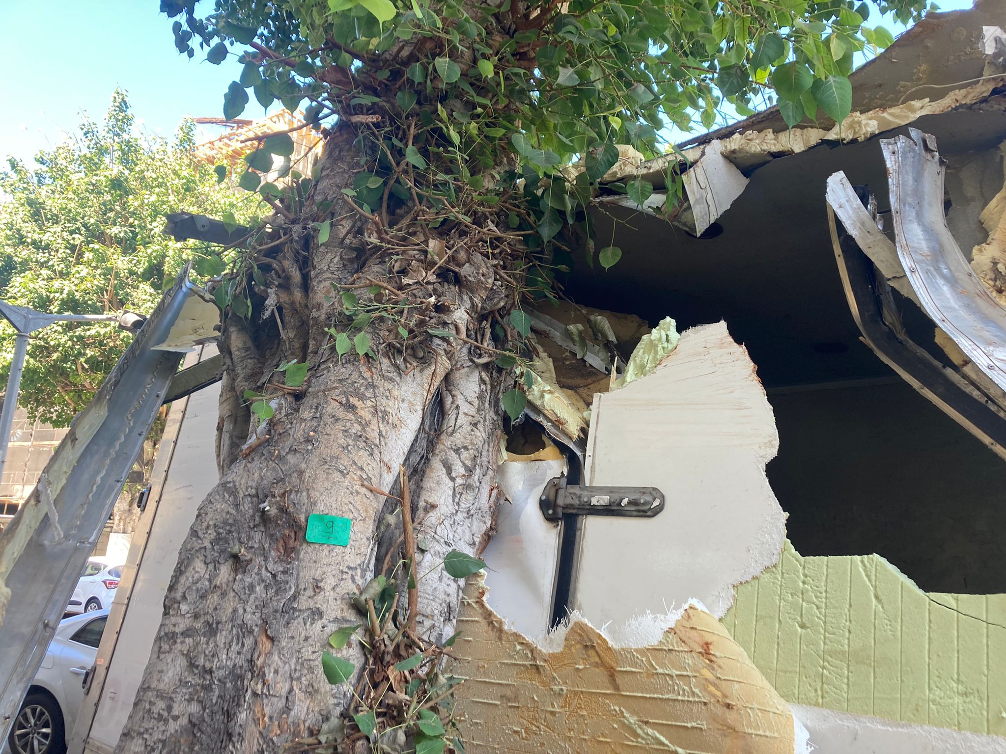 WhatsApp Image 2021-10-19 at 12.04.59 PM (2).jpeg